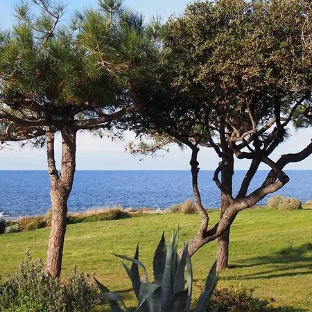 Dolce 9 Apartment Lumio (Corsica)
